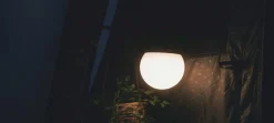 Rigel lampe